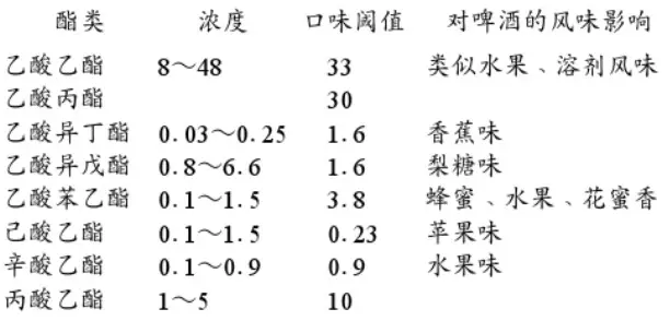 精釀啤酒設備,啤酒廠設備,開辦啤酒廠,發酵，錐形罐